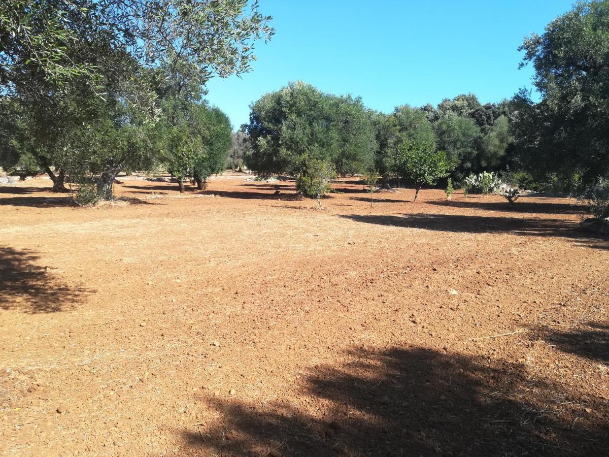 Trullo Alessandro E Villa Raffaela San Vito dei Normanni Eksteriør bilde