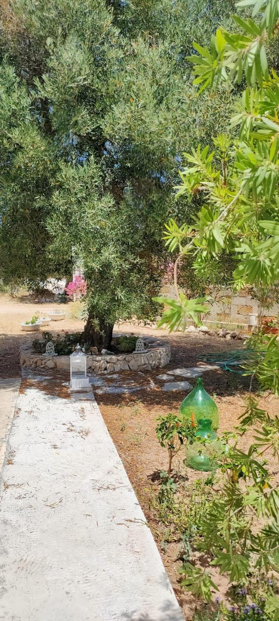 Trullo Alessandro E Villa Raffaela San Vito dei Normanni Rom bilde