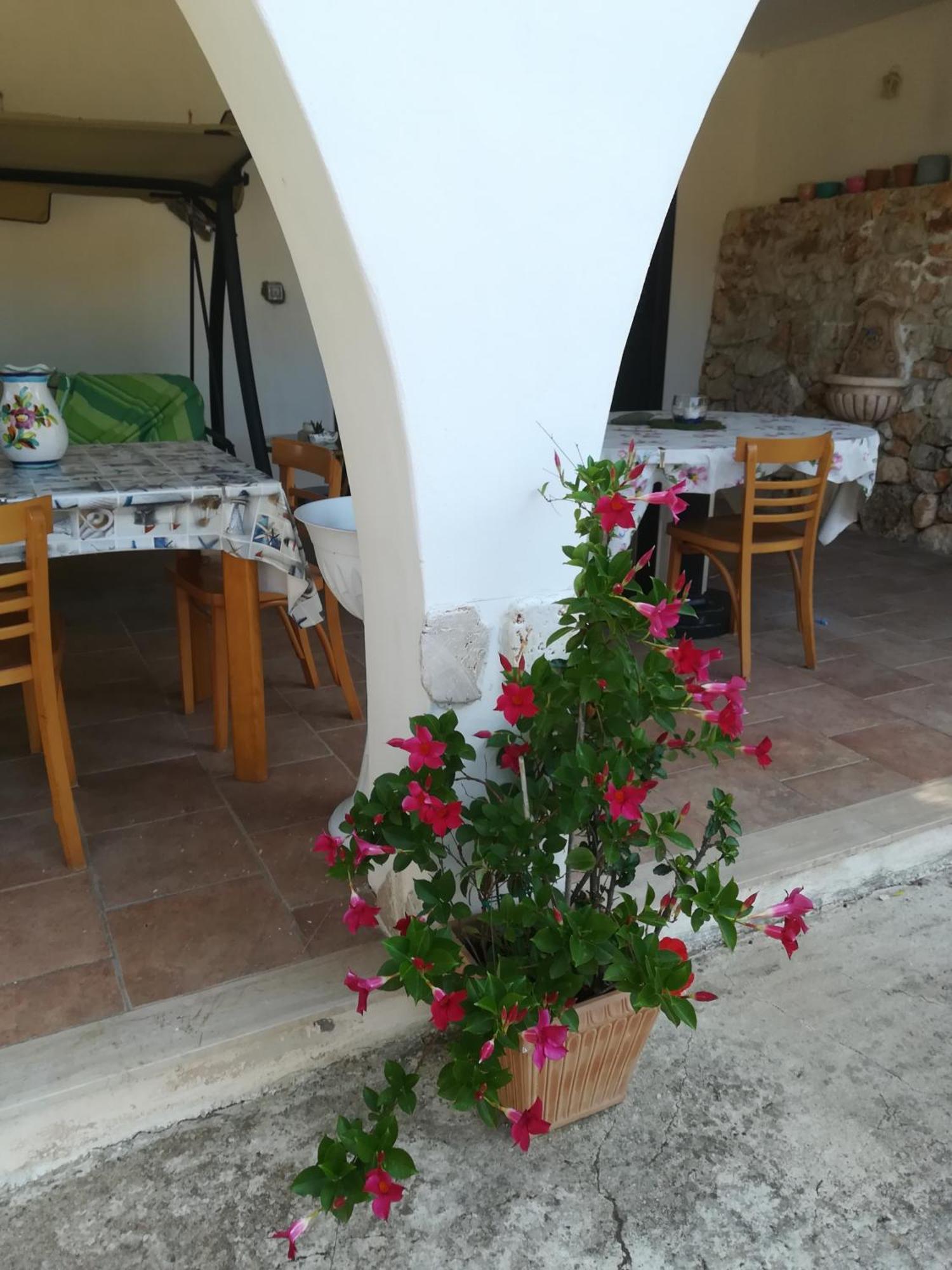 Trullo Alessandro E Villa Raffaela San Vito dei Normanni Rom bilde